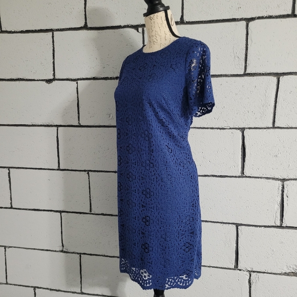 BUNDLE SALE! Ann Taylor Blue Lace Short Sleeve Sheath Dress Sz 6P - Picture 3 of 6